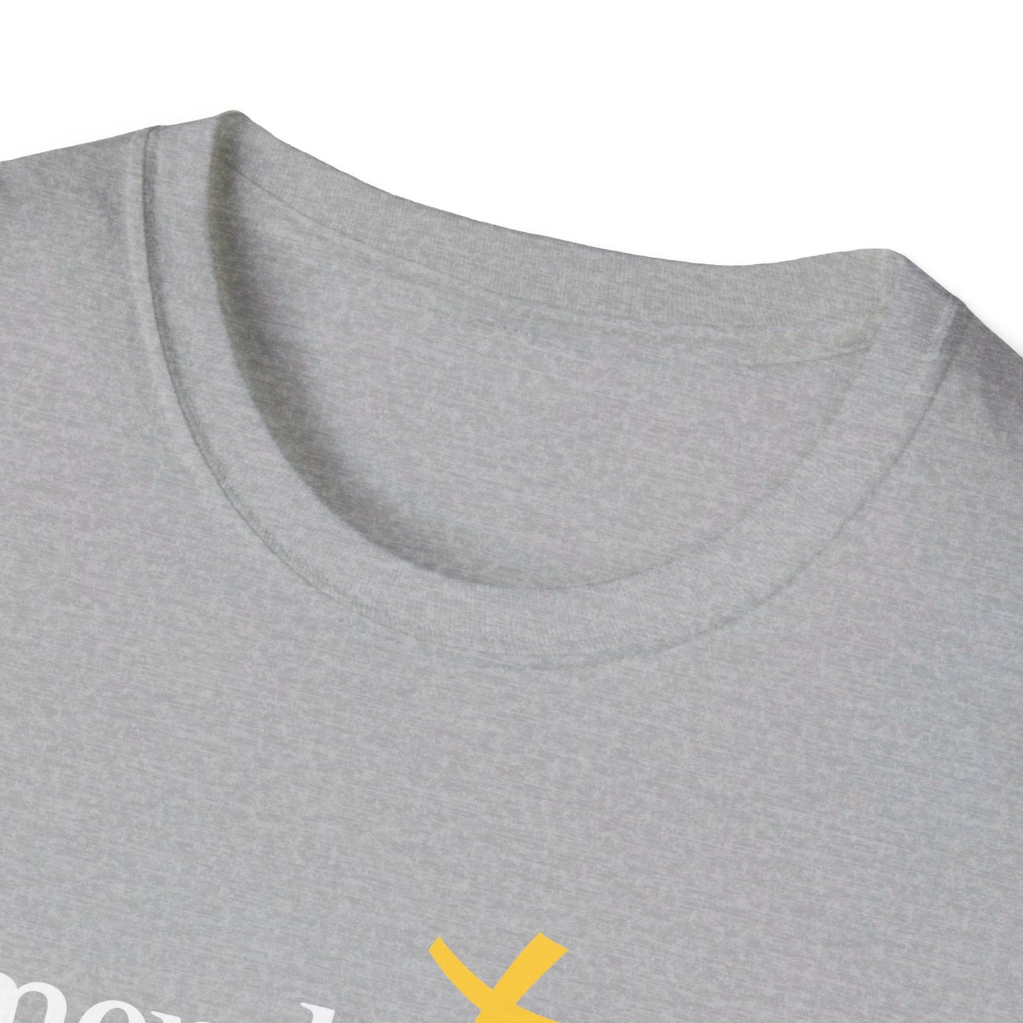 EF Volleyball Adult T-Shirt