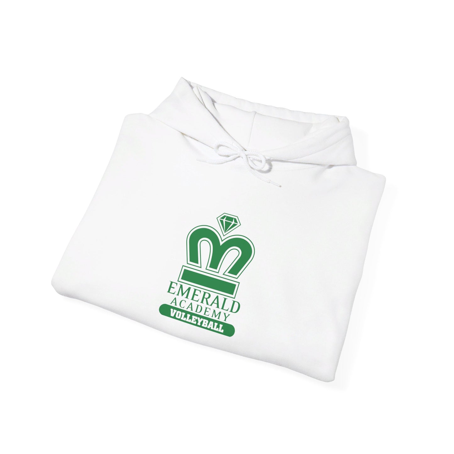 EA Volleyball Unisex Adult Hooded Sweatshirt