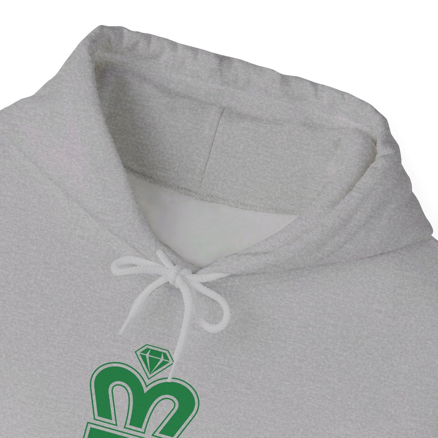 EA Volleyball Unisex Adult Hooded Sweatshirt