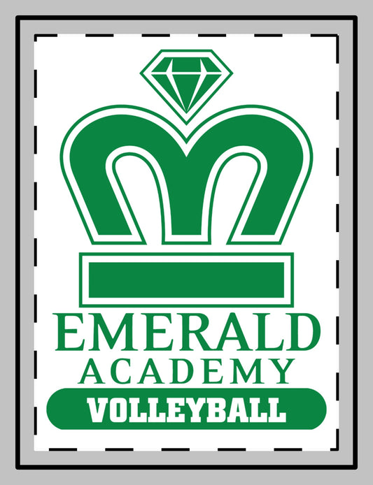 EA Volleyball Magnet