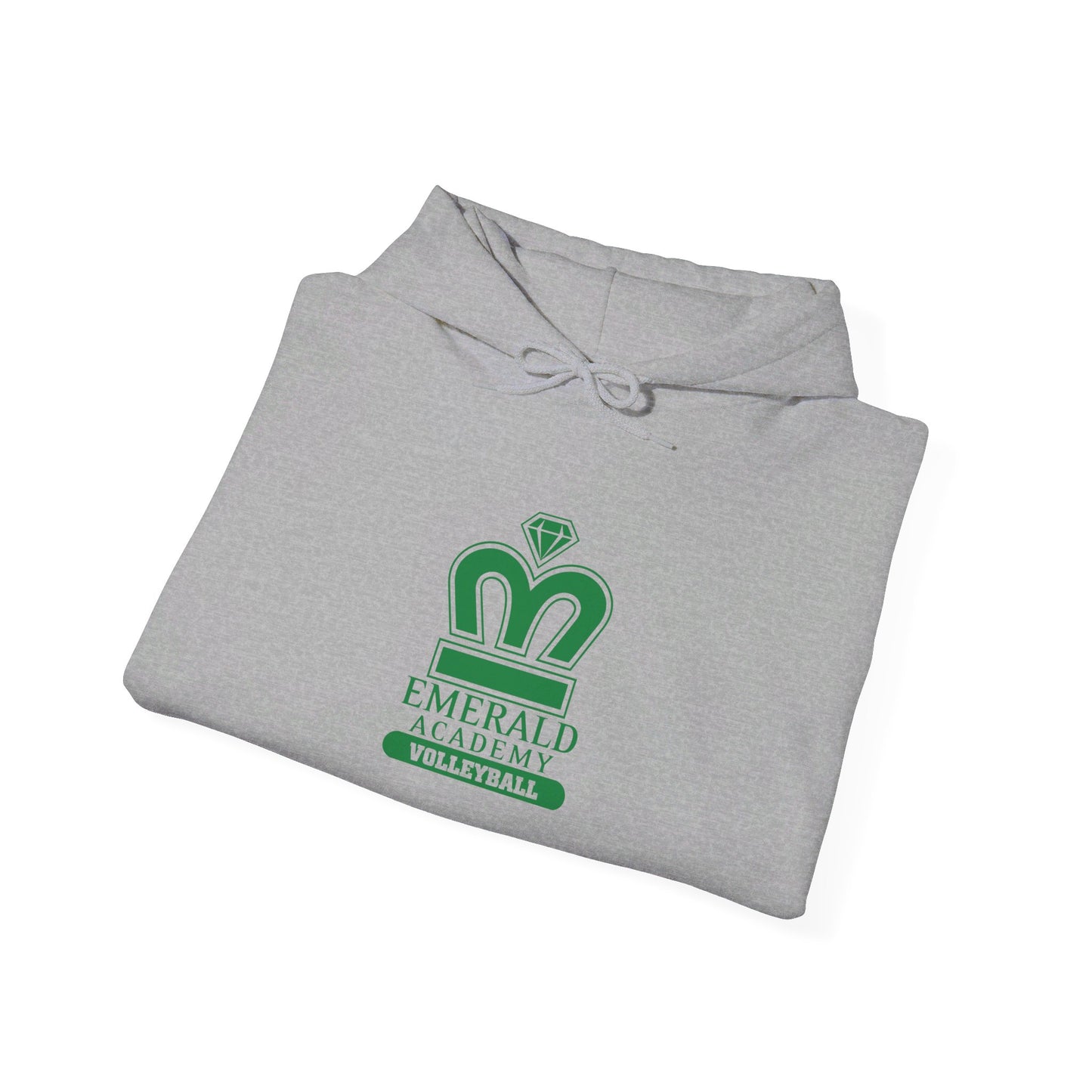 EA Volleyball Unisex Adult Hooded Sweatshirt