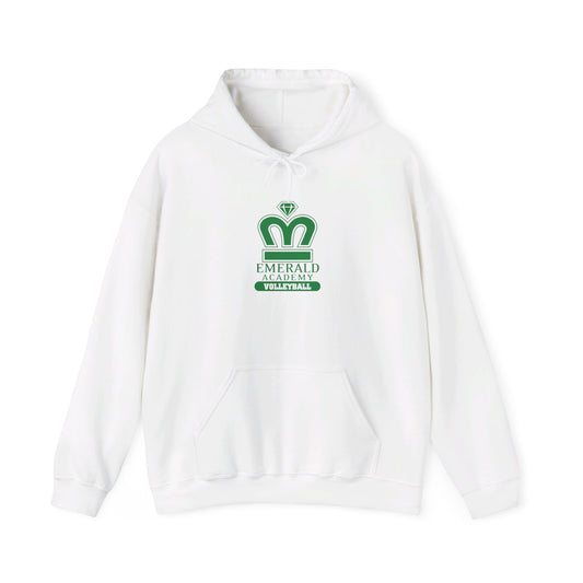 EA Volleyball Unisex Adult Hooded Sweatshirt
